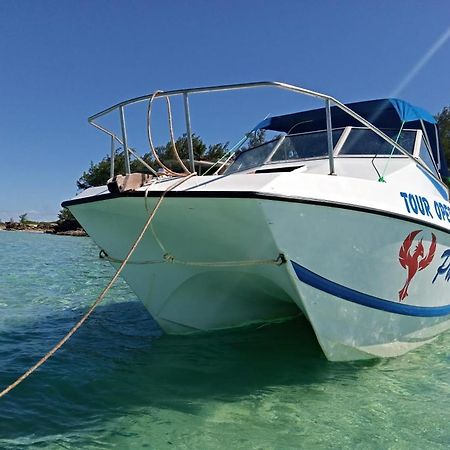 Dolphin Dhow Beach Safaris Vilankulo Exteriér fotografie